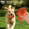 Decompression Pet Toy Dog Teeth Cleaning Pet Dog Electric Intelligent Toy Bio-based Sound Pig Training Outdoor Interaction