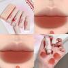 Matte Liquid Lipstick Waterproof Silky Smooth Soft Mist Velvet Apricot Lip Gloss Makeup Lip Mud for Women Lip Stain Cosmetics