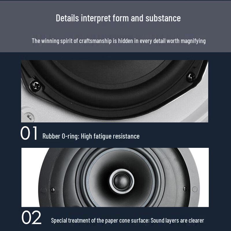 TAKSTAR EBS-630A Ceiling Speaker (CN version)
