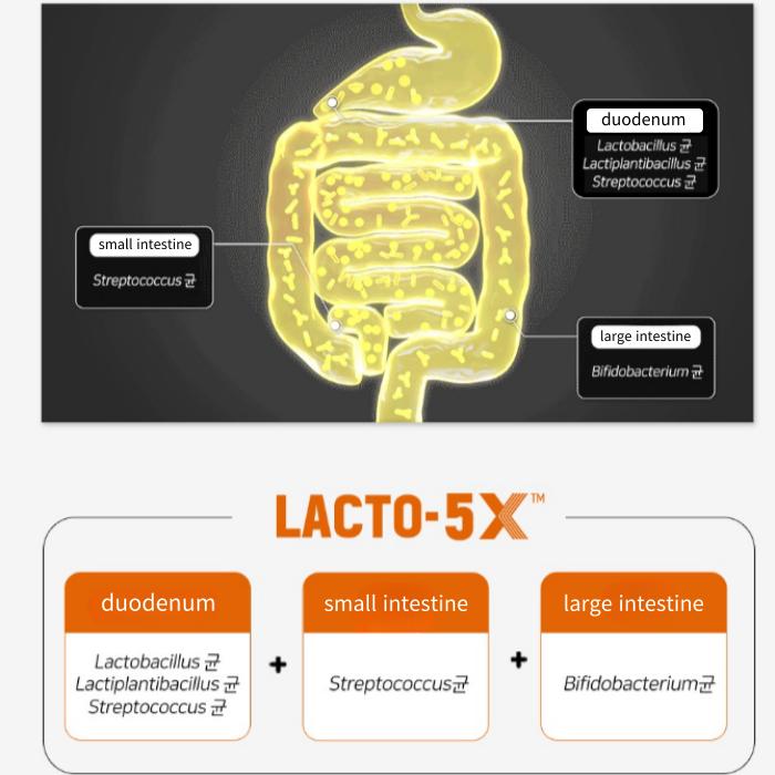 Пробиотики Lacto-fit Gold 50 стиков (Лакто-5X Формула) 2 г х 50 шт.