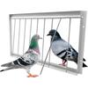 Metal Bar Construction One-Way Pigeon Door 30/40/50cm Pigeon Loft Door  for Racing Pigeons