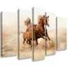 Five Piece Picture Canvas Print Bay Horse Galop Nature
