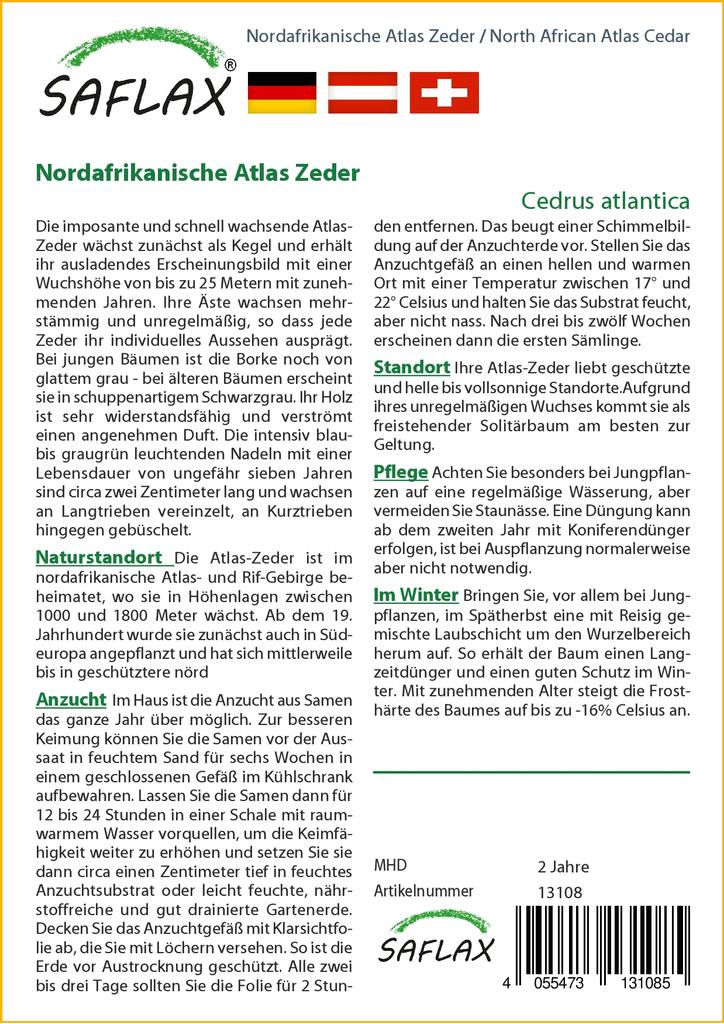 SAFLAX Североафриканский атласский кедр - 20 семян - Cedrus atlantica
