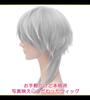 CaseEden Cosplay Wig, Short, Long Nape, Heat-Resistant, Silver-Gray Hair, Includes 2 Wig Nets
