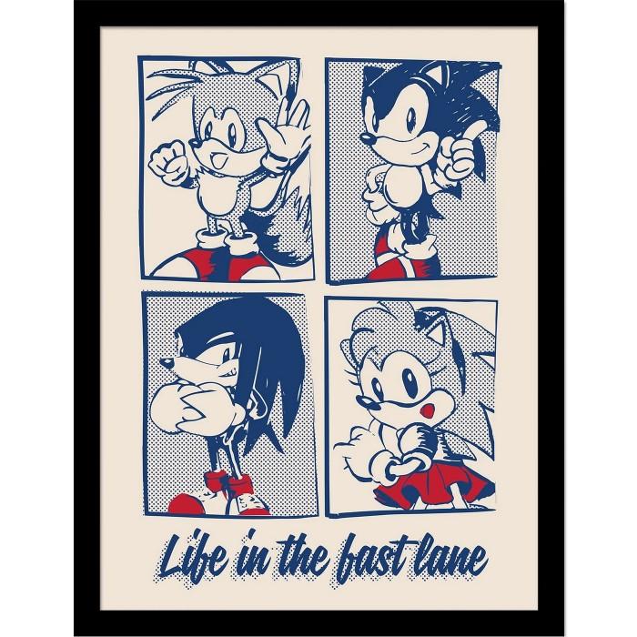Sonic The Hedgehog Life In The Best Lane Framed Poster