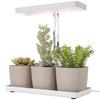 Plant Lamp with 42 LED Lights with 3 Pots, Timer and Adjustable Lighting, 45x18.8x47.8 cm, White