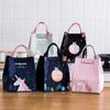 Cartoon Cooler Lunch Bag For Picnic Travel Thermal Waterproof Storage Bag