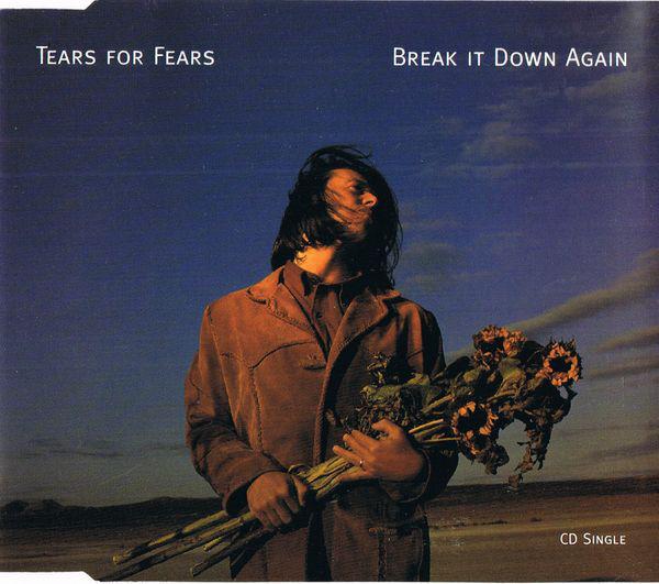 CD TEARS FOR FEARS Break It Down Again 4228622412 Mercury 1993 Канада Электронный инструмент Использованный