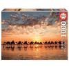 Landscape and Nature Puzzle - EDUCA - 1000 Pieces - Golden Twilight At Cable Beach, Australia