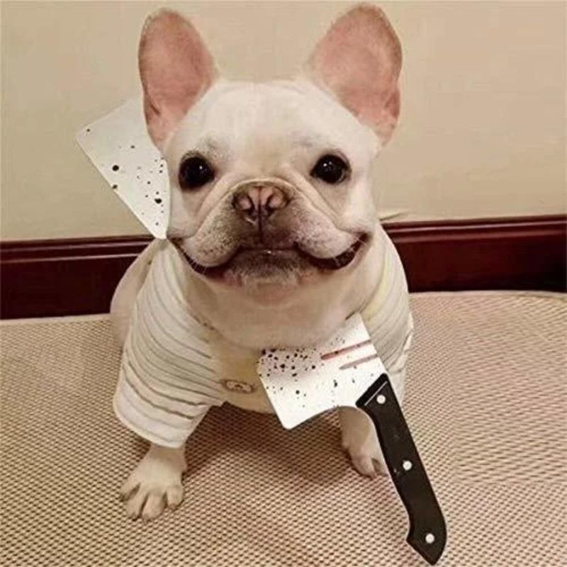 Cat/Dog/Pet Halloween New Funny Horror Toy Makeup Ball Performance Props Axes Saw Nail Knife Headwear Blood Scene Party Beloved