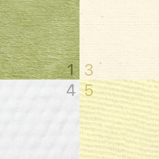 Numbersin Toner Pad Giveaway: Choose one of four options (No. 1/No. 3/No. 4/No. 5)