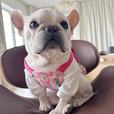 Ду одежда летняя юбка мопс комбинезон домашний питомец собака одежда с принтом щенок комбинезон выкройка юбки одежда