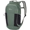 Рюкзак Jack Wolfskin Moab Trail hedge green (Junior) (2011251-4311)