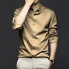 Men's Shirt Business Long Sleeve Shirt Smooth Breathable Casual Shirt Large Size Shirt