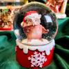 Snow Globe with Owl 6