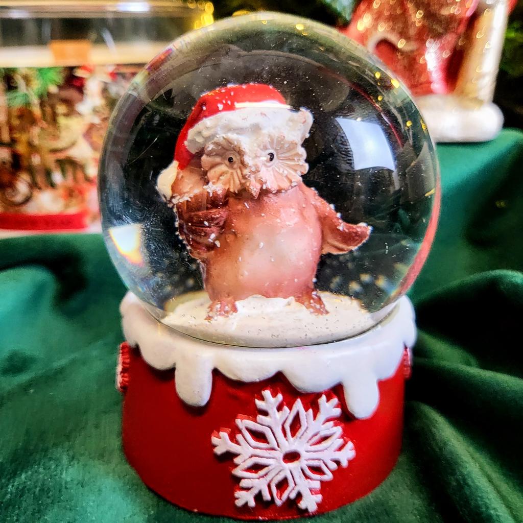 Snow Globe with Owl 6