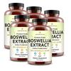 Amandean Boswellia Serrata Extract 500mg Capsules 5 Pcs 120 Tablets