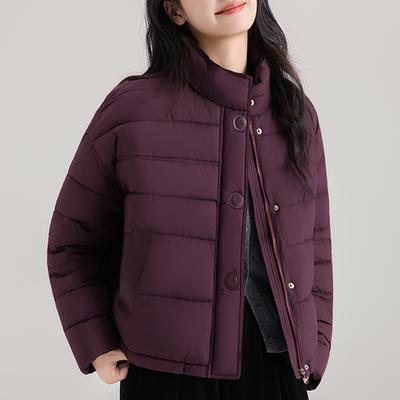 Модные женские короткие парки Зимнее пальто Стойка воротник Толстые Теплые Элегантные женские куртки