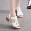 New Summer Women 'S Sandals Square Heel Zipper Gladiator Shoes Open Toe High Heels Women Hollow Breathable Casual Sandals