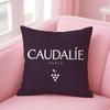 Популярные бренды Caudalie Чехол-подушка Cover Удобный двусторонний чехол для подушки Идеально для Автомобиля Дивана Спальни и Не Только