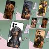 Чехол с собакой таксой для Samsung Galaxy M15 M55 M12 M13 M14 M54 M23 M16 M11 M21 M31 M20 M34 M52 M32 M36 M56