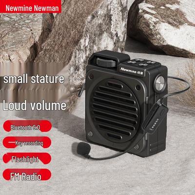 Портативный беспроводной усилитель голоса Newmine MS13, штекер CN (адаптер в комплекте)