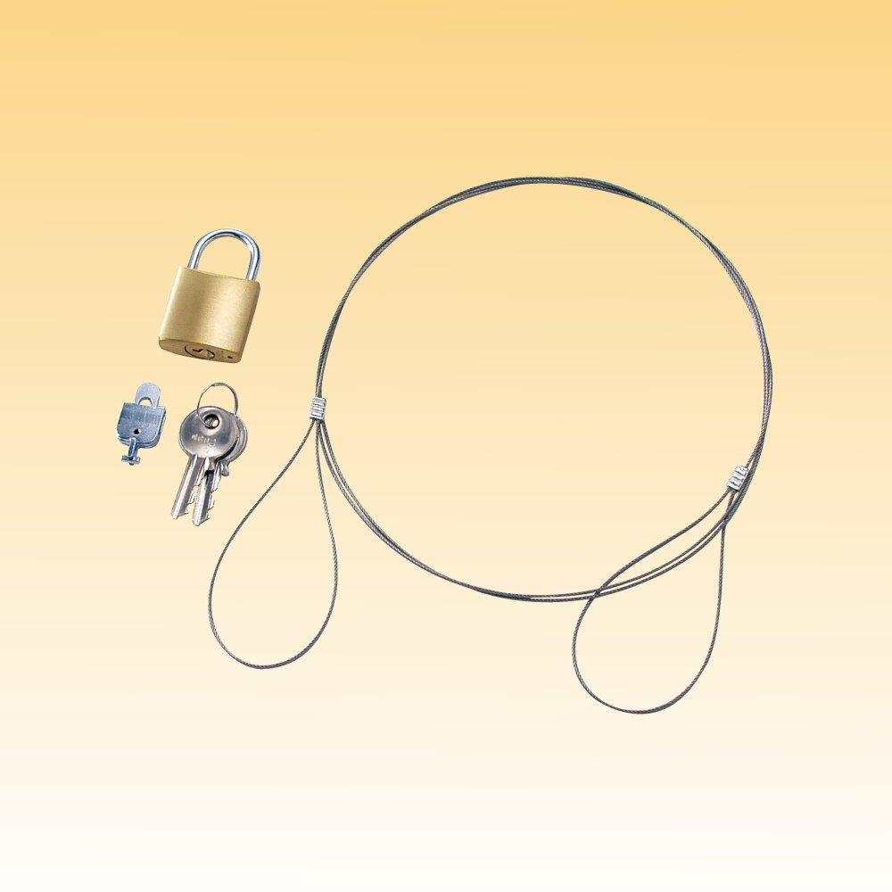 KOKUYO Комплект блокировки компьютера, совместимый со слотом безопасности, тип навесного замка EAS-L3N