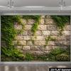 Ivy-Covered Stone Wall Backdrop with Ferns Photography Background