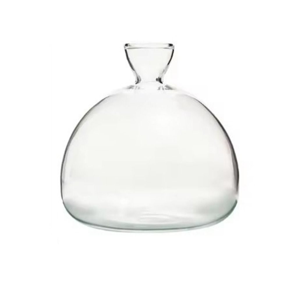 Heat Resistant Japanese Hydroponic Vase Transparent High-grade Glass Vase Container Easy to Carry Special Vase Pot Holidays Gift