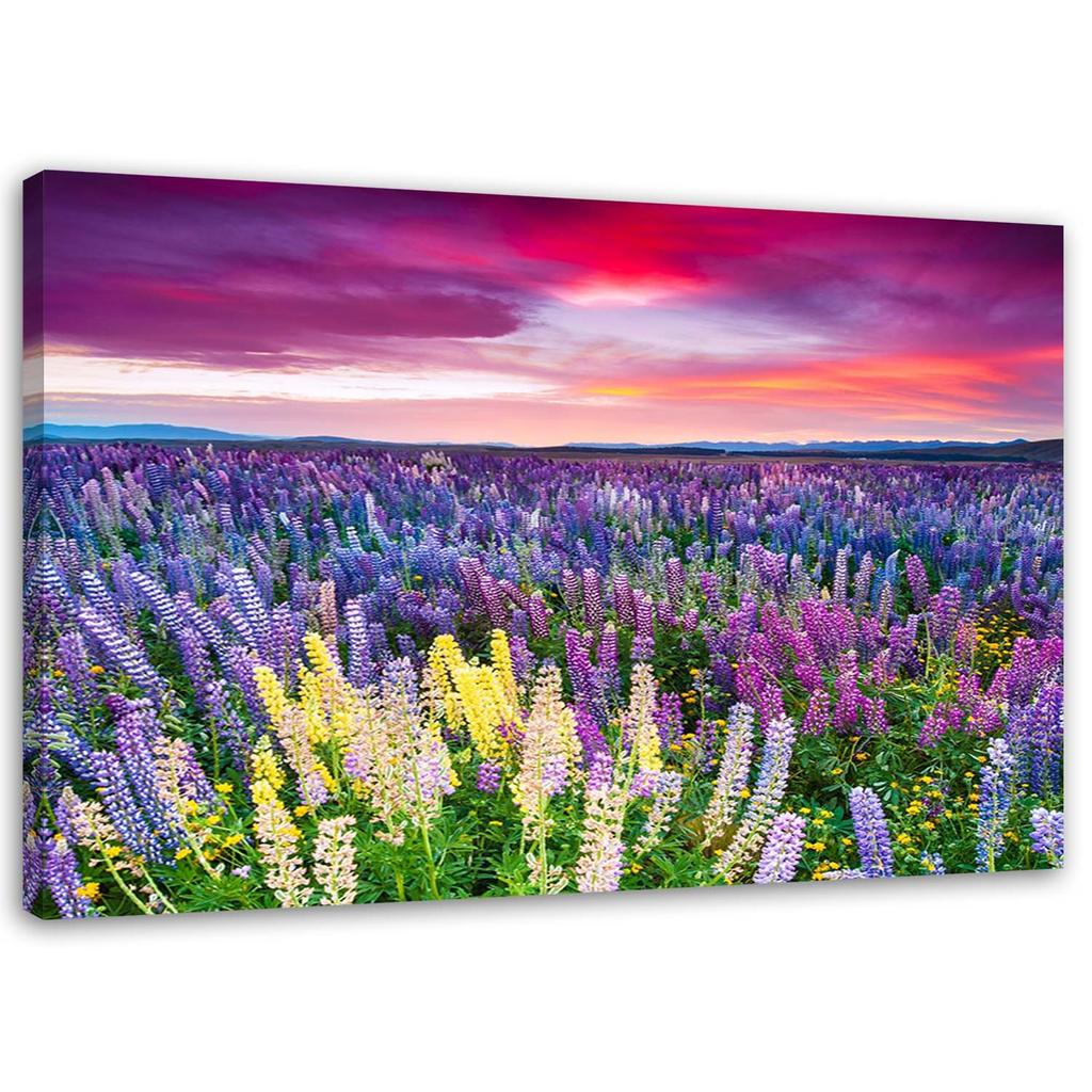 Canvas print, Meadow in bloom