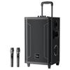 Портативная Bluetooth-колонка для караоке Newmine N530, 12 дюймов (Китайская версия)