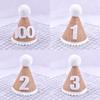 Childrens Birthday Party Decor Baby Milestone Hat With Number 2 For 2nd Year Celebration