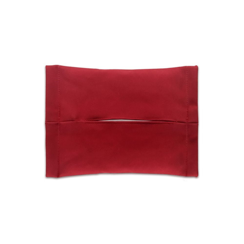 Hidden Design Car Tissue Holder Wear Resistant Auto Storage Bag for Tesla Model 3 Y Car Interior