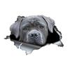 Серые наклейки Cane Corso для автомобиля, блокирующие царапины, самоклеящиеся водонепроницаемые наклейки, используемые для автомобиля, ноутбука, мотоцикла, фургона, автофургона