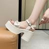 2025 Women's Shoes Summer High-heeled Cool Slippers Are Not Tired To Wear Outside, Small Feet Waterproof Table Thick-heeled Sandals Women 10cm