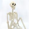 Реалистичные подвижные суставы скелета регулируемый Хэллоуин пластиковый скелет для декора кладбища