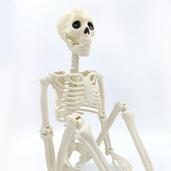 Реалистичные подвижные суставы скелета регулируемый Хэллоуин пластиковый скелет для декора кладбища