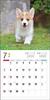 Календарь 2024 Вельш-корги (Календарь Seibundo Shinkosha)