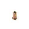 Insert Nutsert Cap Reveting Home Improvement Hardware Flat Head Rivet Nuts Nuts Fastener