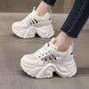 Dad Shoes High-end Leather Surface Hollow Women's Summer Thick Sole Inner Height Increase Breathable Sports Shoes