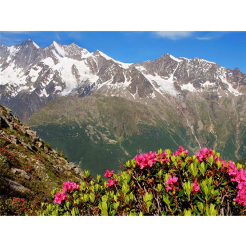 Алмазная картина, полный круглый квадратный природный пейзаж, настенные наклейки, мозаика, пляжная вышивка, горный пейзаж, алмазное искусство