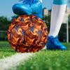 1pc Phoenix Theme Soccer Ball Football, Size 5, Lightweight PVC, Durable Outdoor Training Soccer Ball, Gift m61440