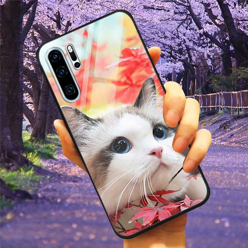 Чехол для телефона Huawei P30 Pro Lite Чехол Закаленное стекло Космический Волк Лев Funda для HUAWEI P30 Lite Роскошные чехлы P30Pro P 30 Кошка