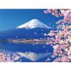 Diamond Painting Full Cherry Blossoms Mosaic House Sakura Embroidery Scenery Home Decor Diamond Art