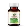 Organic Amalaki Capsules 700 MG | Amla Rasayana | Detoxifies Body | Rich In Vitamin C | (60 Capsules) Pack of 2