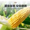 Экологичный одноразовый круглый контейнер для еды