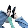 2025 Spring New French Pointed Head with Metal Buckle Thick Heel Medium Heel Mary Jane Shoes Single Shoes Small Leather Shoes Women