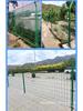 Dual-Sided Wire Mesh Guardrail and Orchard Protection Fence