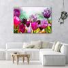Canvas print, Coloured tulips on a meadow