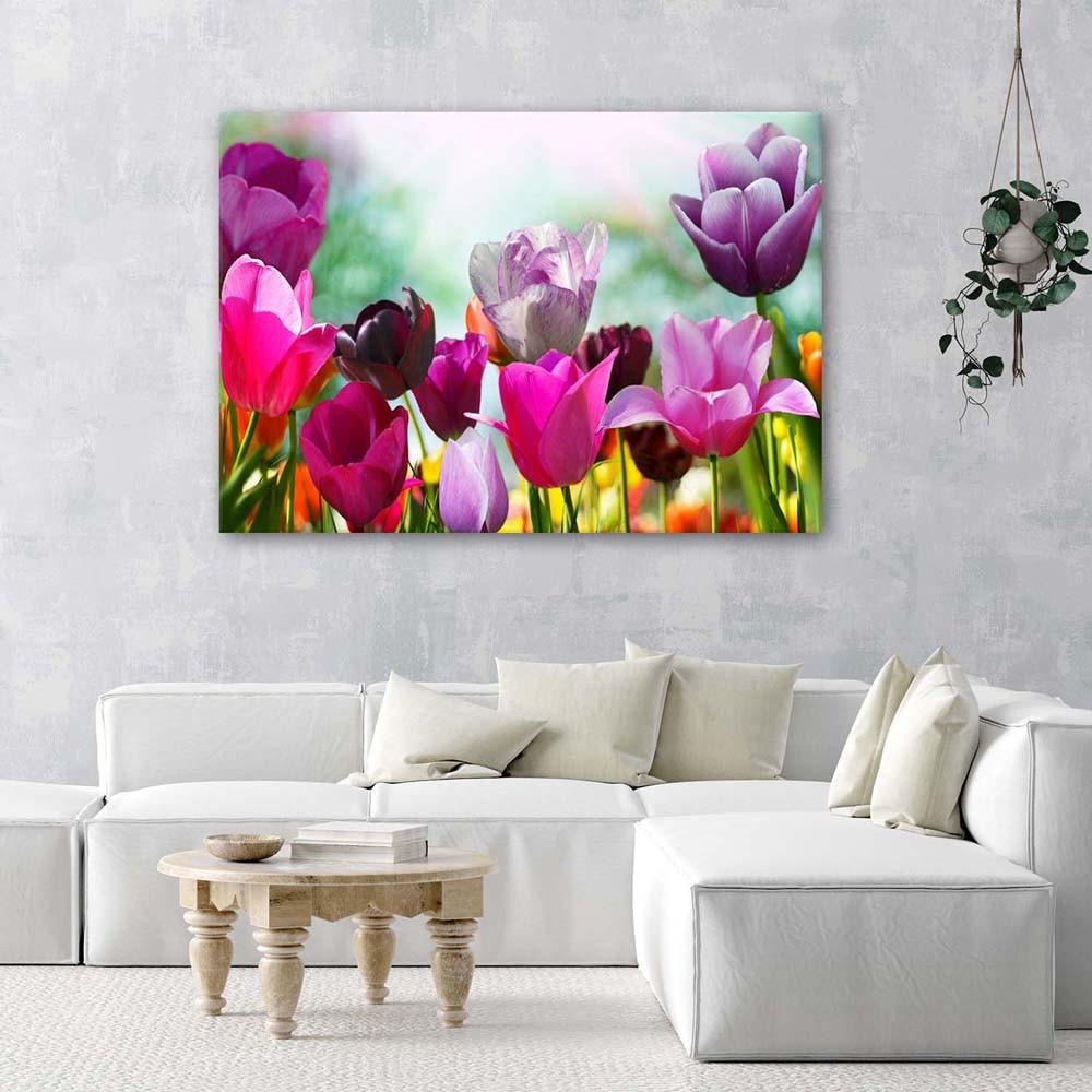 Canvas print, Coloured tulips on a meadow